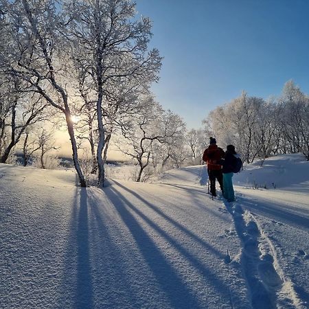 Ringstad Resort Bo (Nordland) Экстерьер фото