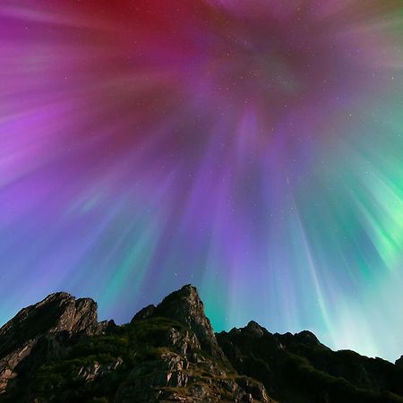 Ringstad Resort Bo (Nordland) Экстерьер фото
