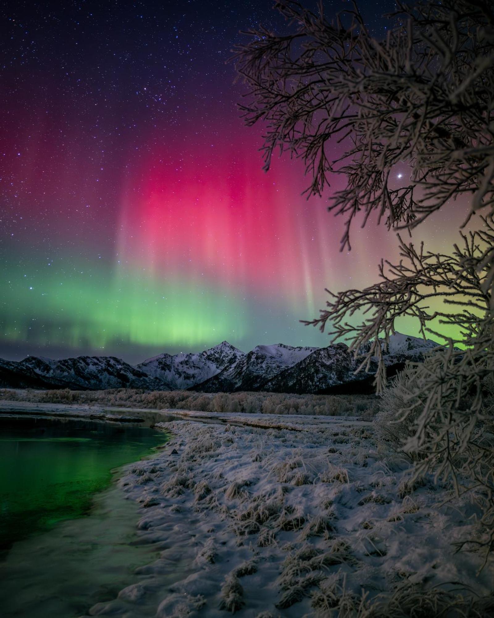 Ringstad Resort Bo (Nordland) Экстерьер фото