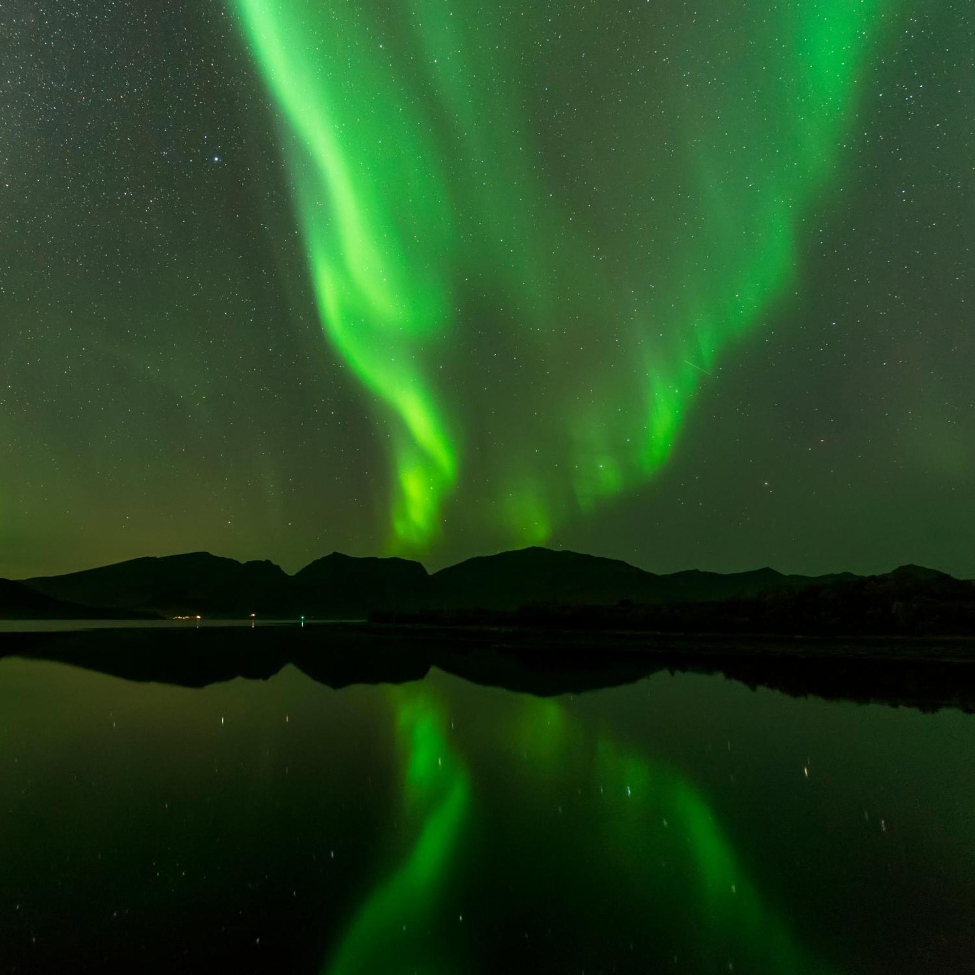 Ringstad Resort Bo (Nordland) Экстерьер фото